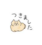 ねこもっふのつぶやき（個別スタンプ：24）