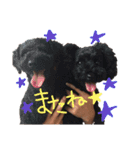 とこスタ（個別スタンプ：20）