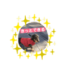 犬と生きること（個別スタンプ：2）