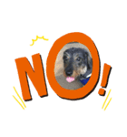 犬と生きること（個別スタンプ：3）