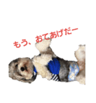 チャイクレ つむぎ（個別スタンプ：2）
