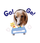 モモちゃん★スタンプ（個別スタンプ：25）