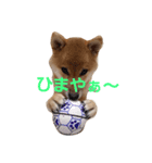 きまぐれん（個別スタンプ：4）