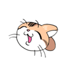 表情で訴える猫（個別スタンプ：1）