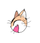 表情で訴える猫（個別スタンプ：3）