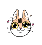 表情で訴える猫（個別スタンプ：4）