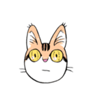 表情で訴える猫（個別スタンプ：5）