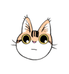 表情で訴える猫（個別スタンプ：6）