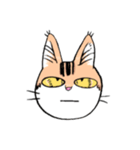 表情で訴える猫（個別スタンプ：7）