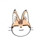 表情で訴える猫（個別スタンプ：8）