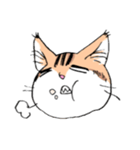 表情で訴える猫（個別スタンプ：11）