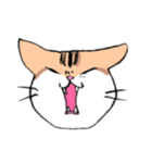 表情で訴える猫（個別スタンプ：13）