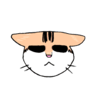 表情で訴える猫（個別スタンプ：16）