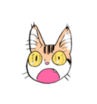 表情で訴える猫（個別スタンプ：17）