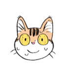 表情で訴える猫（個別スタンプ：18）