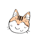 表情で訴える猫（個別スタンプ：19）
