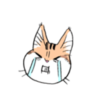表情で訴える猫（個別スタンプ：20）