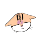 表情で訴える猫（個別スタンプ：21）