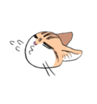 表情で訴える猫（個別スタンプ：23）