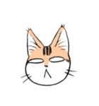 表情で訴える猫（個別スタンプ：25）