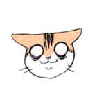 表情で訴える猫（個別スタンプ：26）