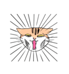 表情で訴える猫（個別スタンプ：28）