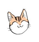表情で訴える猫（個別スタンプ：29）