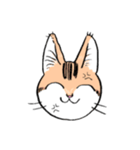 表情で訴える猫（個別スタンプ：30）