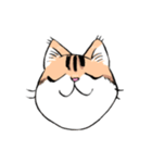 表情で訴える猫（個別スタンプ：33）