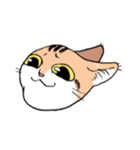 表情で訴える猫（個別スタンプ：35）