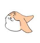 表情で訴える猫（個別スタンプ：36）