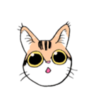 表情で訴える猫（個別スタンプ：37）