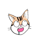 表情で訴える猫（個別スタンプ：39）