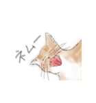 うちの猫と時々野良（個別スタンプ：2）