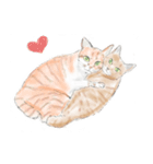うちの猫と時々野良（個別スタンプ：4）