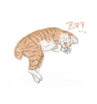 うちの猫と時々野良（個別スタンプ：5）