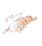 うちの猫と時々野良（個別スタンプ：6）