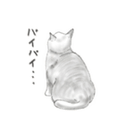 うちの猫と時々野良（個別スタンプ：10）