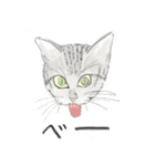 うちの猫と時々野良（個別スタンプ：11）
