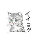 うちの猫と時々野良（個別スタンプ：12）