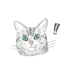 うちの猫と時々野良（個別スタンプ：14）