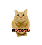 それいけ でしまし若王子（個別スタンプ：5）