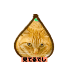 それいけ でしまし若王子（個別スタンプ：30）