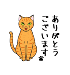 ねこちゃんいっぱい1 よく使う言葉（個別スタンプ：4）