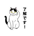 ねこちゃんいっぱい1 よく使う言葉（個別スタンプ：6）