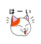 ねこちゃんいっぱい1 よく使う言葉（個別スタンプ：8）