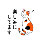 ねこちゃんいっぱい1 よく使う言葉（個別スタンプ：11）