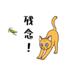 ねこちゃんいっぱい1 よく使う言葉（個別スタンプ：15）