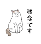 ねこちゃんいっぱい1 よく使う言葉（個別スタンプ：16）