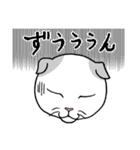 ねこちゃんいっぱい1 よく使う言葉（個別スタンプ：21）